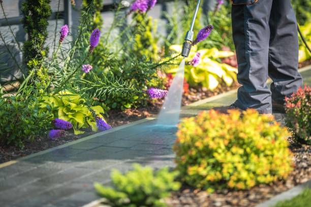 Best Gutter Cleaning and Brightening in Tuckahoe, NY